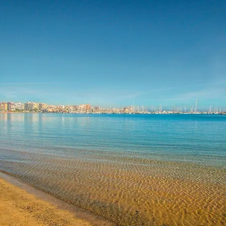 Awesome In Torrevieja